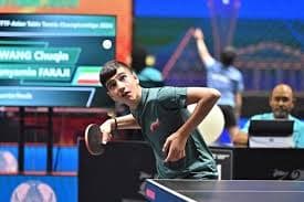 Technogoal Portfolio - Table Tennis Federation